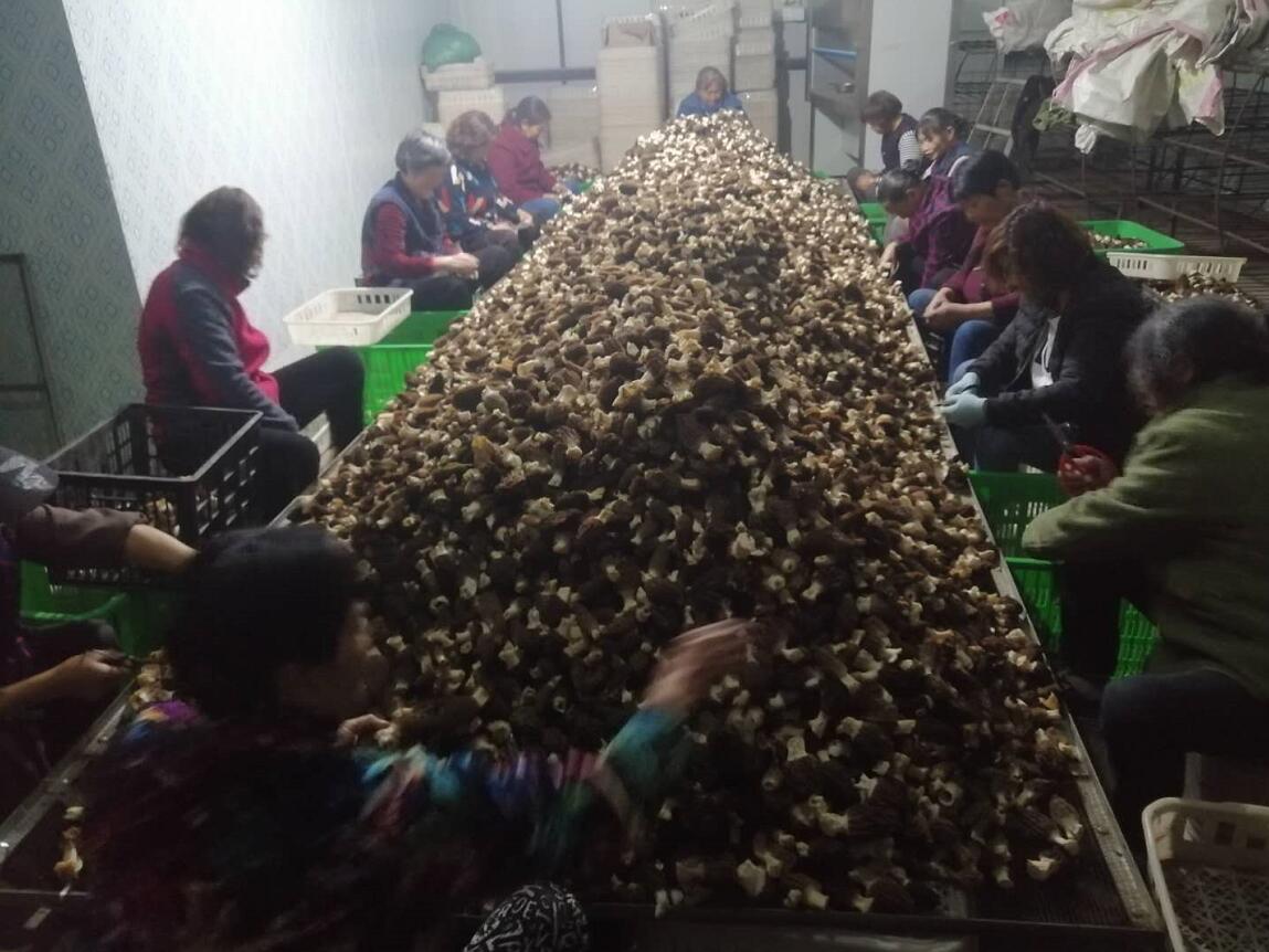 &#24320;&#20803;&#32593;&#31449;&#30331;&#24405;&#20837;&#21475;&#95;&#24320;&#20803;&#65288;&#20013;&#22269;&#65289;
